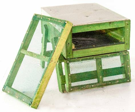Solar Dryer